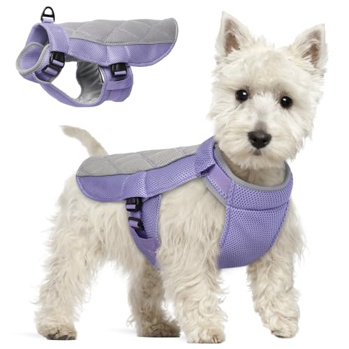 Gilet Rafraichissant Chien, Manteau Rafraichissant pour Chien Confortable Harnais Refroidissant Respirant Veste Rafraichissante pour Journées Chaudes d'Été, Lavande S
