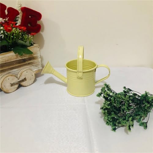 Lot de 6 arrosoirs miniatures en fer résistant pour vos plantes de balcon