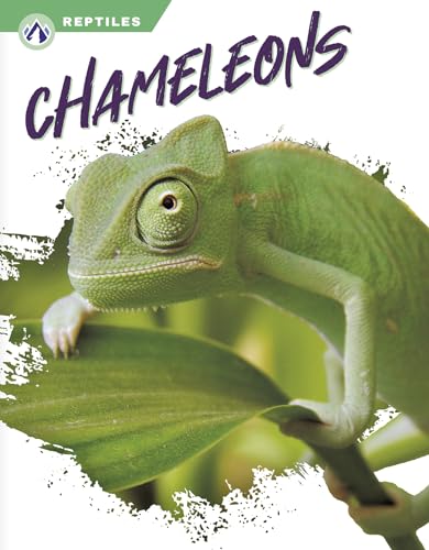 Chameleons (Reptiles)