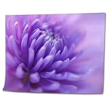 Paint by Numbers Kit for Adults Beginner Chrysanthemum Petals Purple Blue Pink Gradient Ombre Flower Lilac DIY Painting on Canvas by Numbers Acrylic Oil Painting for Home Decor Gifts 16'x20'