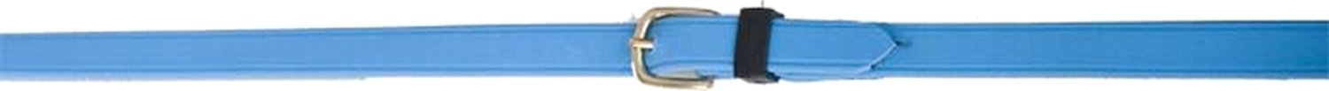 tdet riendas Biotack, azul celeste