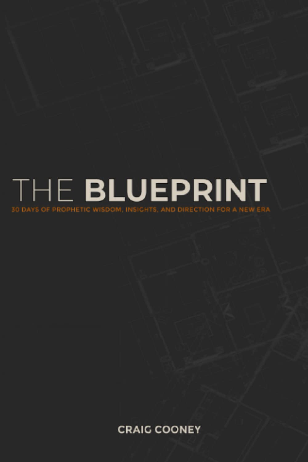 THE BLUEPRINT: 30 Days of Prophetic Wisdom, Insights, and Direction for a New Era