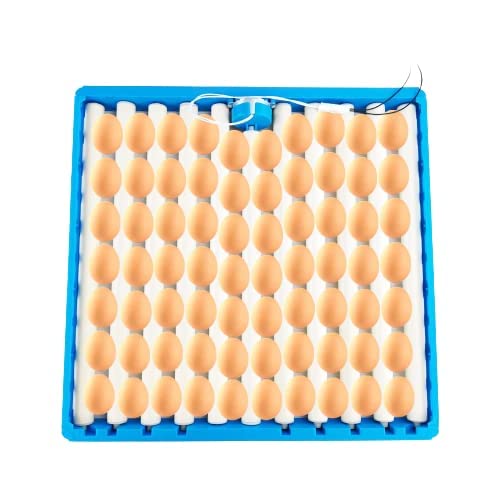 METRO IMPEX Fully Automatic Incubator Tray for Chicken, Automatic Egg Incubator 70 Chicken Eggs Turner Tray | PTC Heating for Chick for Quail for Duck Rotating Design-image-0