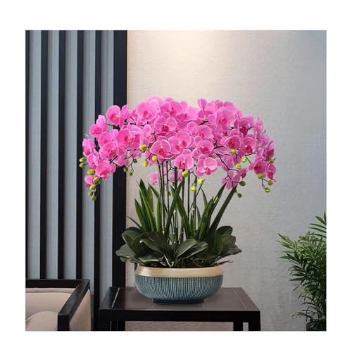 Fausse orchidée phalaenopsis pour décoration de table de salon moderne
