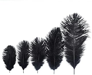 ZITENG CGBH czarna strusie pióra dekoracyjne 15-70 cm / 6-28" pióra strusie do rzemiosła dekoracja kwiaty karnawał akcesoria weselne dekoracja chmurka (kolor: 25-30 cm małe bieguny, rozmiar: 5 sztuk)