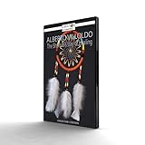 ALBERTO VILLOLDO DVD - The Shaman's Way of Healing