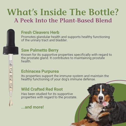 Image of PetAlive ProsPet Drops for Pet Prostate and Bladder Health - Herbal Supplement for Dog Urinary Tract, Bladder and Immune Support - Constipation Relief - 59 ml