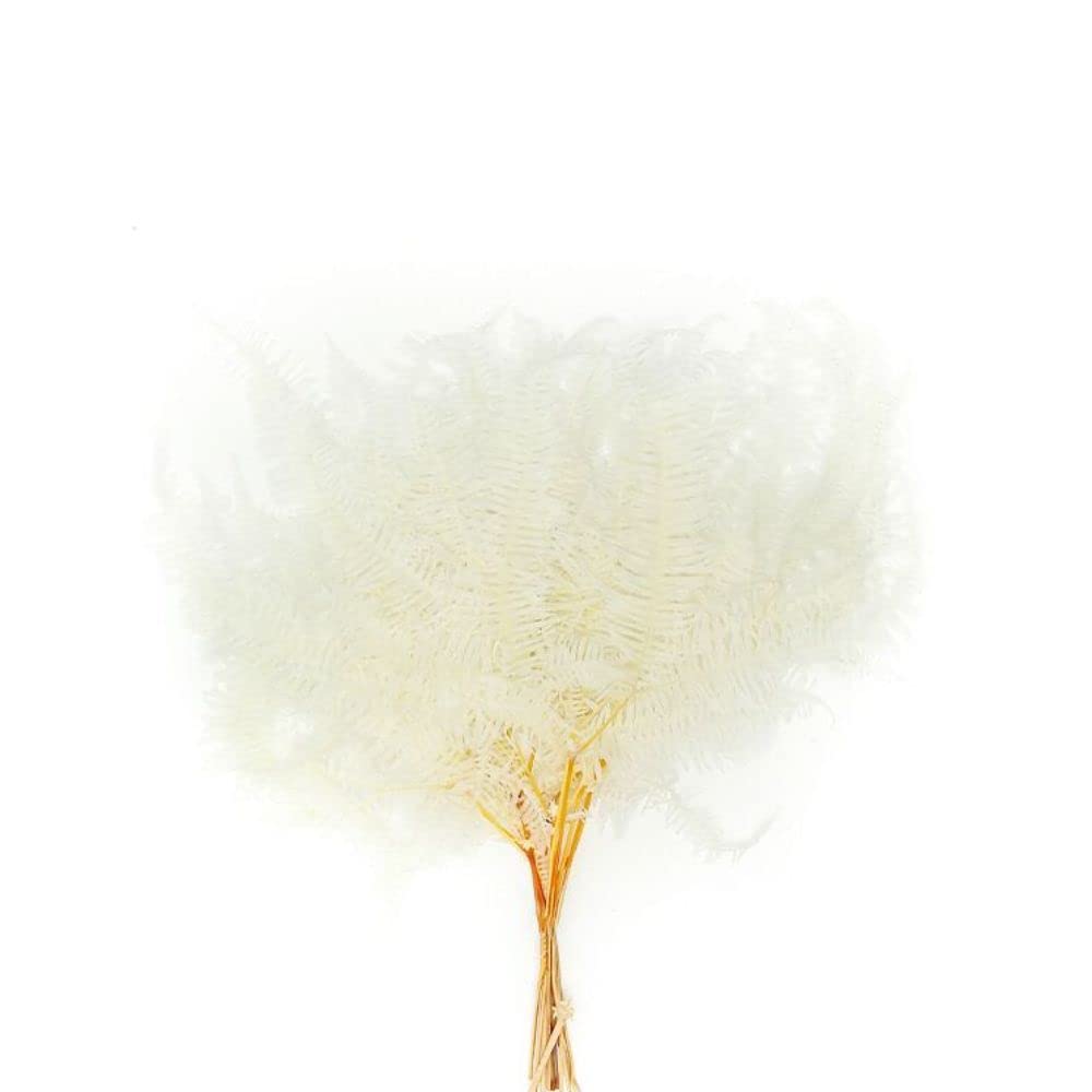 Immortal Dried Flowers D Fd-Jh2102D 40