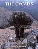 The Cycads