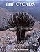 The Cycads
