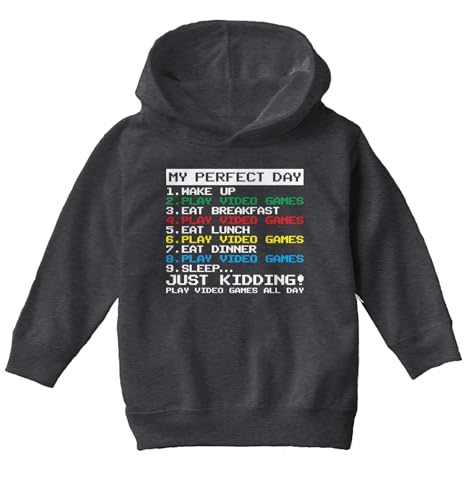 Haase Unlimited My Perfect Day Video Game Schedule Toddler/Youth Fleece Hoodie2