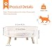 BingoPaw Hundesofa Hundecouch für kleine Hunde, erhöhtes Haustiersofa Hundebett mit Plüsch Hundekissen, katzensofa große Katzen, 61.5×32.8cm weiß