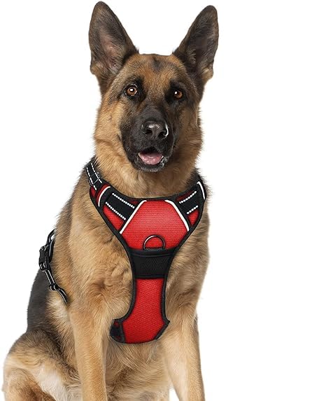 DoodlePup Dog Harness, No Pull & No Choke Harnes for Puppy, Oxford Breathable & Reflective Fabric Vest, Soft Inner Sponge Padding, Adjustable Body Belts with Handle (XL) (B0CX989K88) Amazon Price History, Amazon Price Tracker