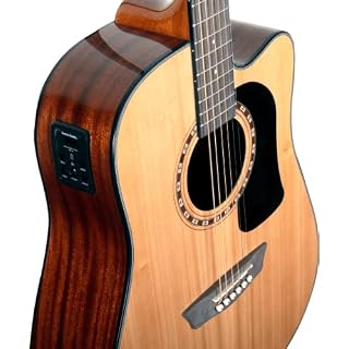 Washburn Apprentice Pack D5CE Guitare électro-acoustique folk avec housse de transport, sangle et microphones inclus – Image 5