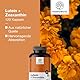 HealthyWorld® Lutein + Zeaxanthin - 120 pflanzliche Kapseln – 2 natürliche Carotinoide - 32 mg Lutein und 2 mg Zeaxanthin pro Tagesdosis - für 2-4 Monate - Unterstützung für Sehkraft und Augen