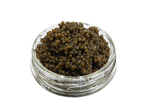 中国産 キャビア 30g×24瓶 業務用 バトルフィッシュ