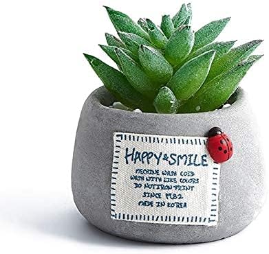 Amazon フェイクグリーン 人工多肉植物 ミニ 観葉植物 フラワー 造花 葉っぱ ギフト お祝い 開店 開業 おしゃれ 鉢 アイビー シュガーバイン インテリア ミニ 人工観葉植物 花 アレンジ おしゃれ リアル F カフェ 玄関 リビング キッチン フラワー5 Diy 工具 ガーデン