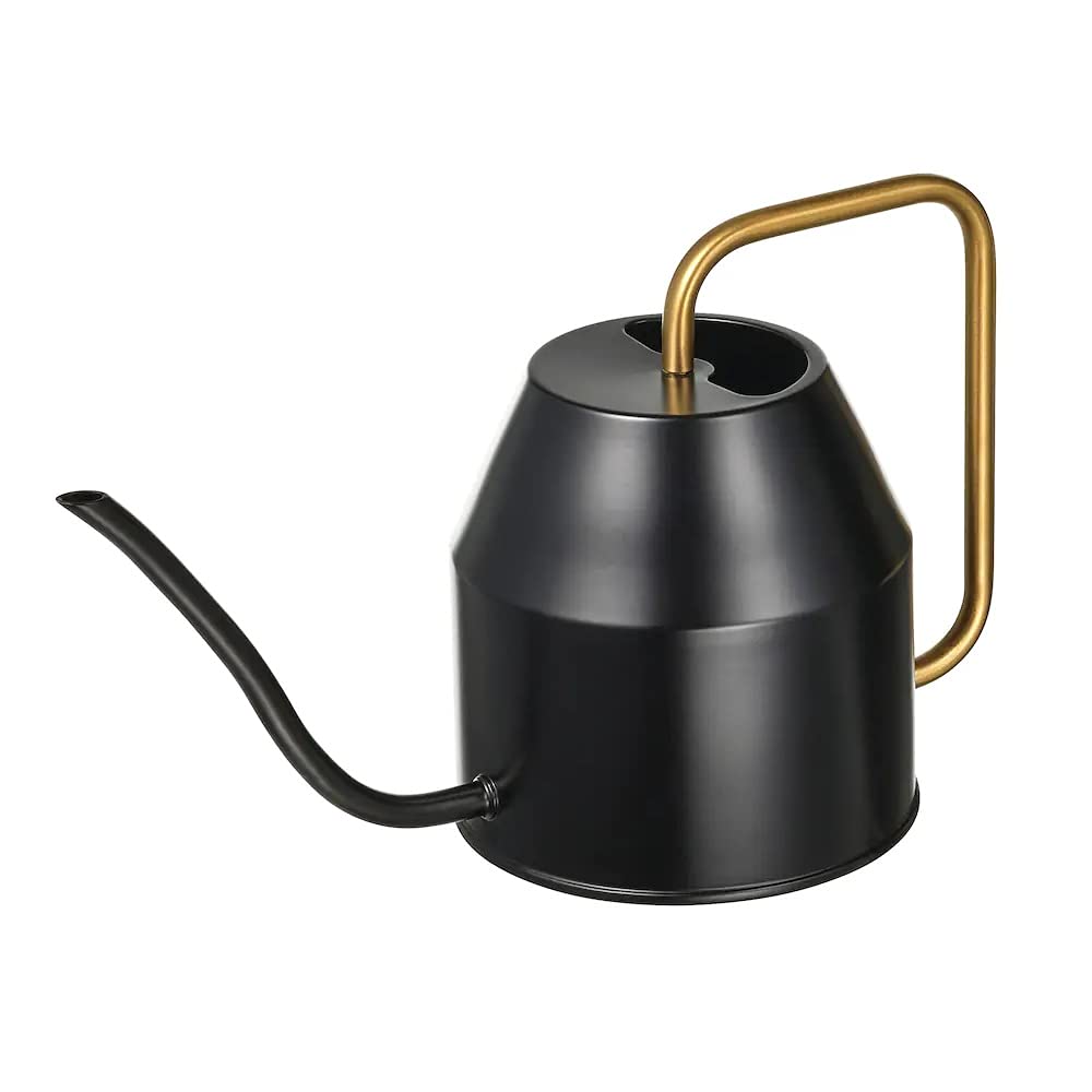 Ikea TSSP Watering can, Black Colour,0.9 l (30 oz) (Black) (B09GP75MNG) Amazon Price History, Amazon Price Tracker