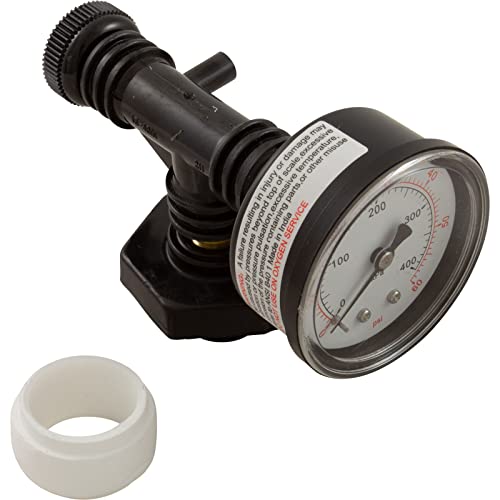 Pentair 24850-0105 Valve and Gauge Assembly Replacement for Select Sta-Rite Pool and Spa Filters