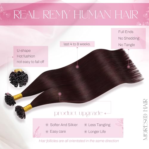 Image of Moresoo U Tip Hair Extensions Human Hair, Wine Red, 20 Inch | 50g 50 strands, hot fusion keratin tips, long straight styles, vibrant burgundy finish, date night styling