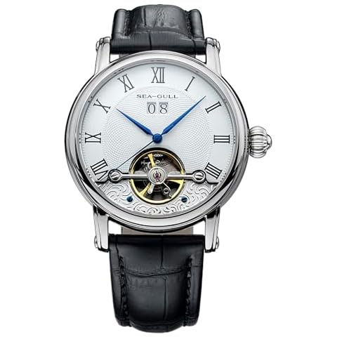 SEA-GULL Seagull Flywheel Watch Series Men's Classic Business Watch Fully Automatic Mechanical Watches 42mm 50M Waterproof 819.382, White, Modern Cover