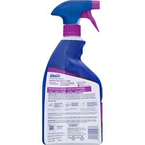 Woolite Pet Stain & Odor Remover + Oxygen Trigger, 22 Ounces, 0890 Woolite Pet Stain Odor Remover Oxygen Trigger 22 Ounces 0890