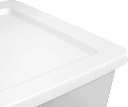 41 Quart Storage Box, Clear Plastic Storage Bin with Snap-on Lid, White
