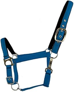 Showman Average Horse Size Nylon Adjustable Nose Halter in Fluorescent Blue Color