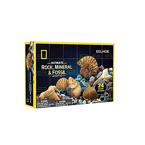 OLOPE Rocks & Fossils Kit, Earth Science Kit, Rock & Mineral Collection Activity Kit, 24 Piece Rocks Collection 2020 Count Down Advent Calendar, Educational Toys for Kids (Multicolor)