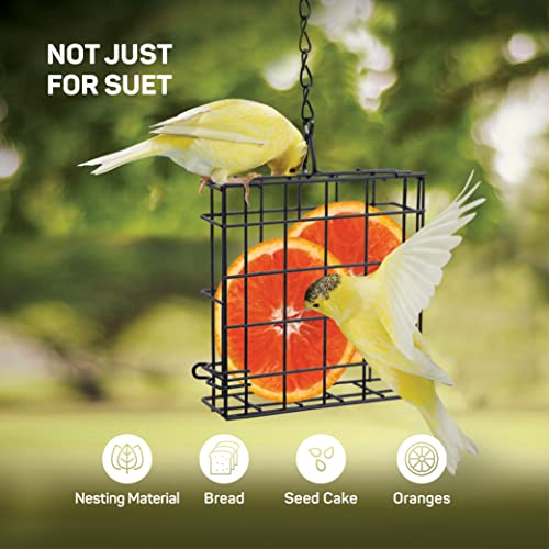 Suet Bird Feeders For Outside [2 Pk] Suet Wild Bird Feeders Use With Wild Bird Feeding Suet Cakes, Seed Cakes, Mealworm Cakes - Suet Feeder Cage/Suet Feeder For Outside Hanging/Suet Cage Bird Feeder #TOP5