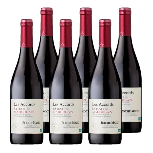 Les Accords de Roche Mazet - Syrah Marselan - IGP Pays d’Oc - Vin Rouge - Terra Vitis - Lot de 6 bouteilles x 75 cl