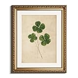 InSimSea Golden Framed Wall Art, Vintage Botanical Style for Elegant Home Decoration, Lucky Charm Aesthetic, 13x16 inch