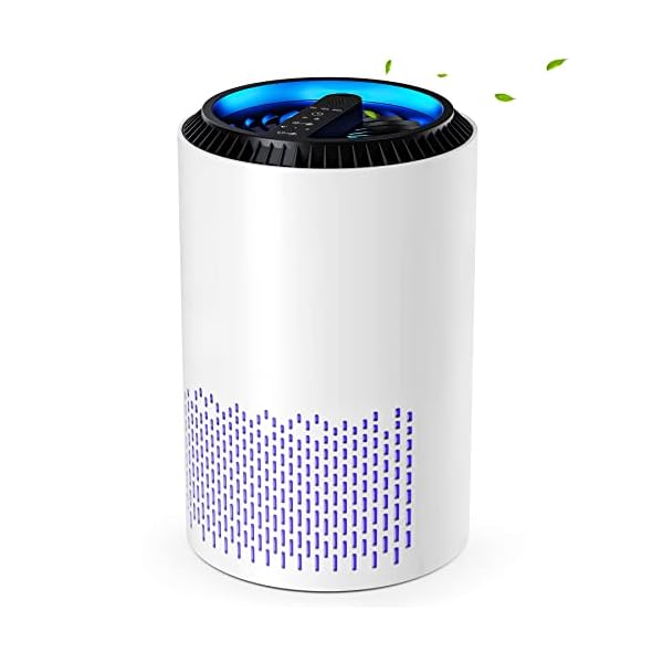CONOPU Purificador de Aire de Hogar con Filtro Hepa H13 con 3-capa