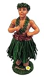 Hang Loose Aloha Hawaii