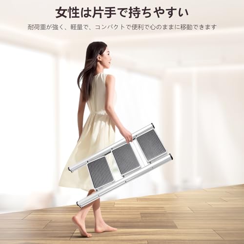 Osata 脚立 3段 Osa25 の商品画像 3