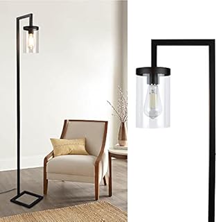 Depuley LED Floor Lamp with Hanging Glass Shade, Metal Industial Floor Lamps for Living Room,Study,Bedroom, Eye Protection Reading Standing Lamp, Black,Warm White (6W A60,E27 Edison Bulb Included)