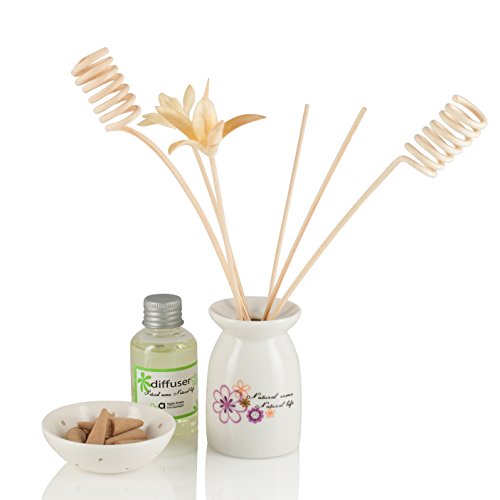 Set Difusor de Varillas 100 ml para Hogar y Oficina miniatura 3