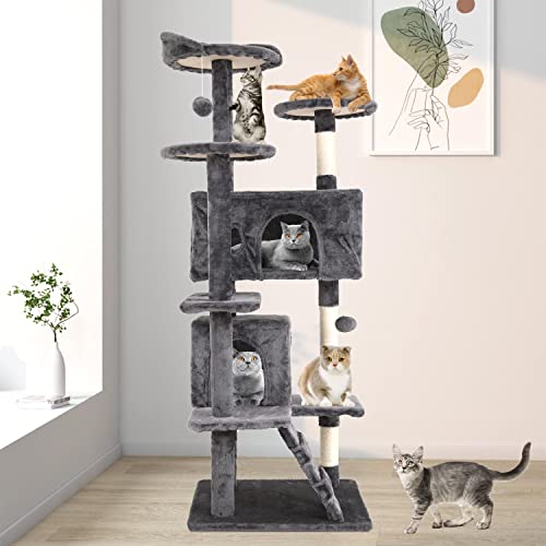 Find The Best Top Climber Tree Stand Reviews & Comparison Katynel