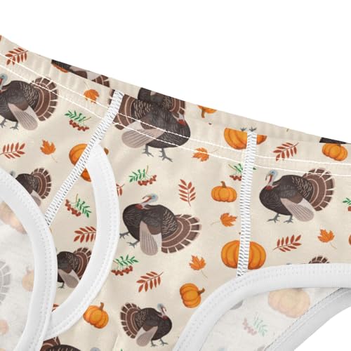 Boys' Exclusive Briefs Toddler Underwear 95% Combed Cotton Boxerbriefs 2T Thanksgiving Turkey Pumpkin 834