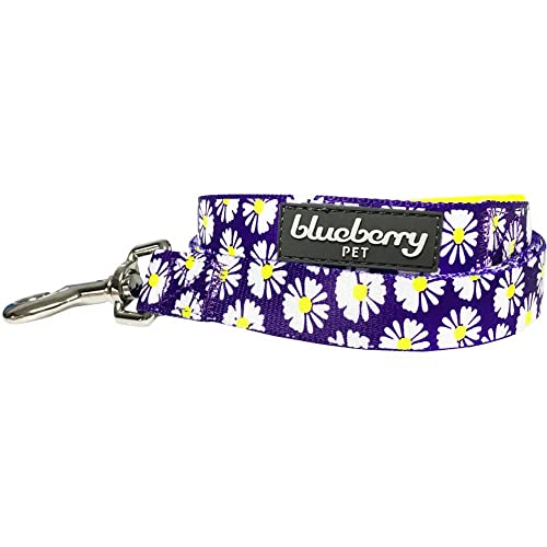 Blueberry Pet 2 Pattern Loving Daisy Prints Dog Leash with Soft & Comfortable Handle, 5 ft x 3/4", Medium, Leashes for Dogs -  BBPDLSHP00100YE0M