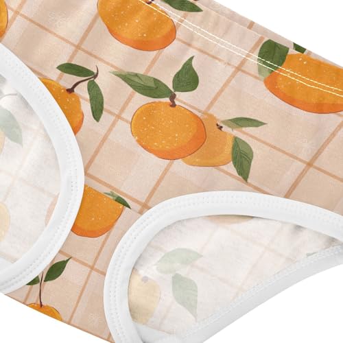 Wusikd Orange Fruit Checkered Girls' Underwear Cotton Girls Briefs Soft Toddler Underwear 2T4