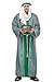 Green Wiseman Adult Costume
