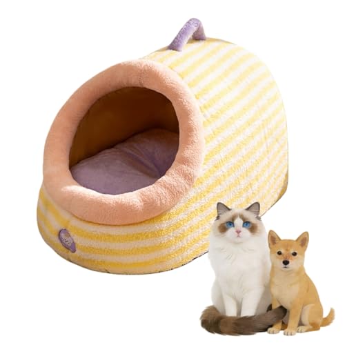 LairaAur �h�[���^�y�b�g�n�E�X ���L���p ������^���Ή� �ʔN�g�p �~�p�����΍� �ӂ�ӂ�N�b�V�����t�� �􂦂邨�����J�[�L�F �����p�������L�n�E�X�y�b�g�\�t�@ (C,XL)