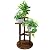 GEEBOBO 3 Tier Plant Stand Indoor For Multiple Plants, Corner Flower Shelf Plant Holder Display Rack Shelving for Patio Garden Balcony Bedroom Living Room