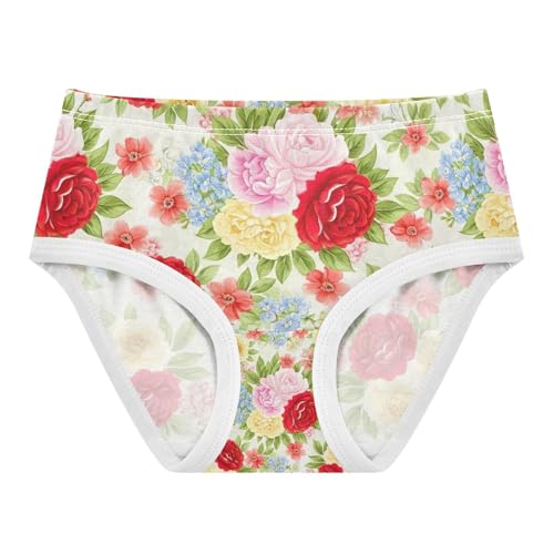 Kids Underwear Girls, Vintage Roses Toddler Panties, Girls Cotton Underwear, 2T–8 Years