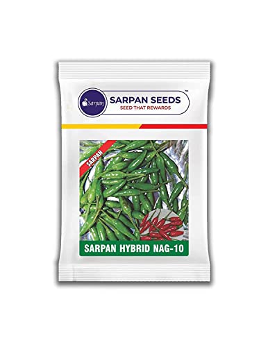 SARPAN SEEDS Sarpan Nag-10 chilli seeds | Bullet chilli seeds | Bird eye mirchi seeds | chilli seeds | vegetable seeds | Home garden (1.5)