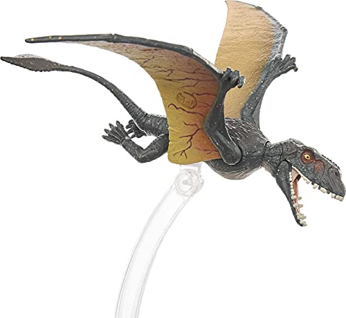Jurassic World Toys World Amber Collection Dimorphodon Flying, (GYH67) – Bild 6