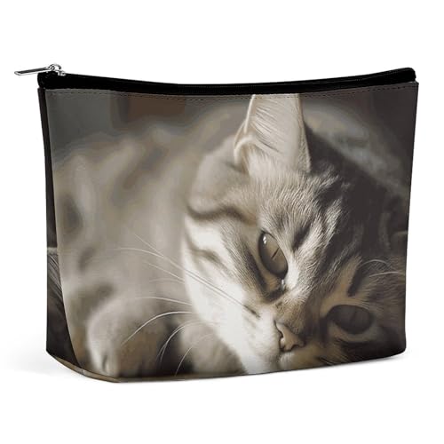 Bolsa de cosméticos pequeña, Elegante y espaciosa, con diseño de Gato durmiendo, para Maquillaje, portátil, con Cremallera, para lápiz Labial, Neceser de Viaje, Mejor Amiga.