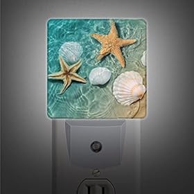 Seashell Starfish Beach Seaside Night Light Plug in LED Lamp Acrylic Glass Decor Night Lights Plug into Wall with… 41gt6VKDkML. SS280