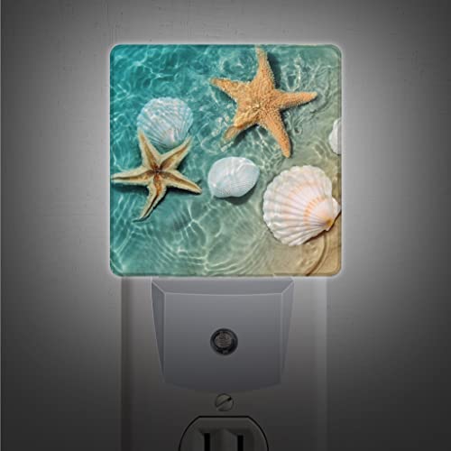 Sea-Shell-Starfish-Beach-Seaside-Night-Light-Plug-in-LED-Lamp-Acrylic-Glass-Decor-Night-Lights-Plug-into-Wall-with-Automatic-Light-Sensor-Nightlight-for-Stair-Bedroom-Kitchen-Bathroom-Decoration 41gt6VKDkML